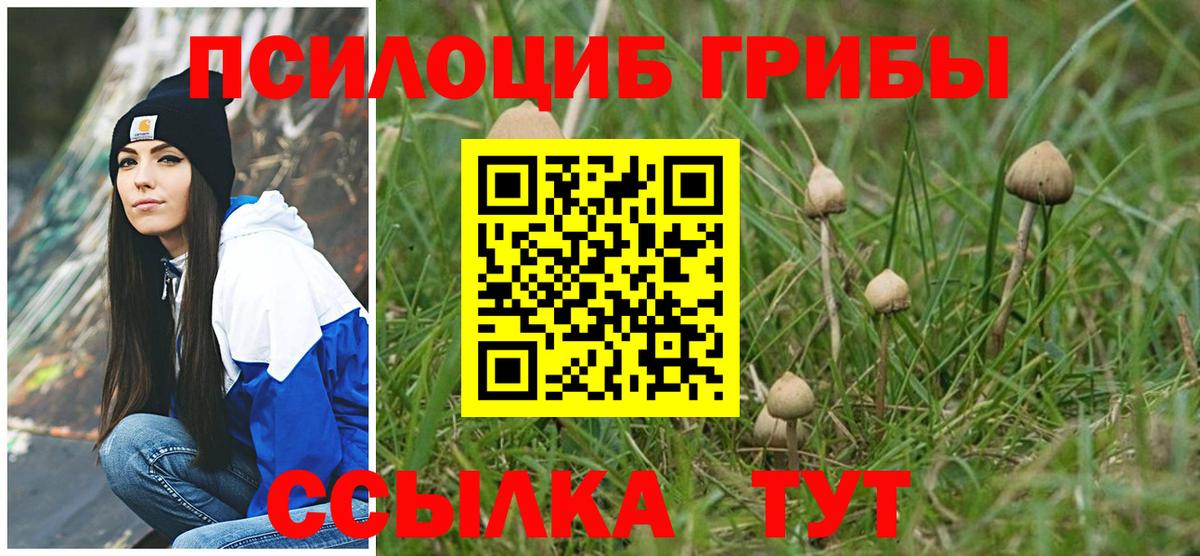 Галлюциногенные грибы мухоморы Чапаевск