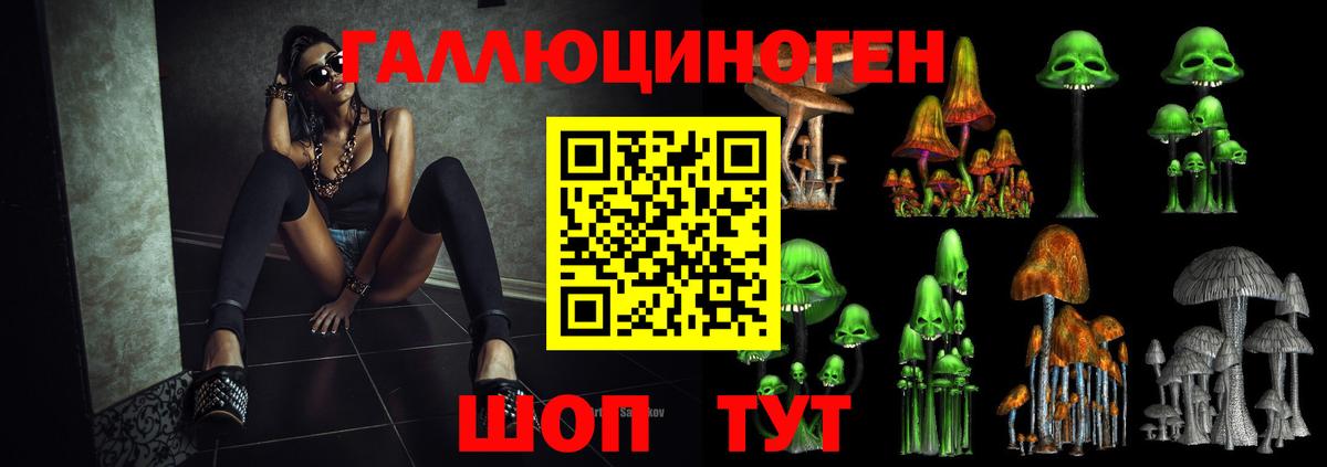 Чапаевск  Галлюциногенные грибы GOLDEN TEACHER  Вход с VPN  Псилоцибиновые грибы прущие грибы 